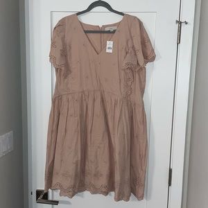 NWT Loft Pink Lace Dress